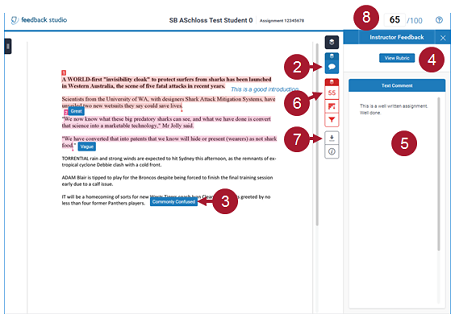 Screenshot of the Turnitin feedback studio's parts highlighted by pointers