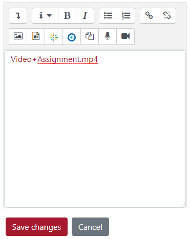 Screenshot of the video submission editor container in iLearn