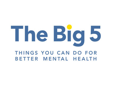 Image of the Big 5 logo