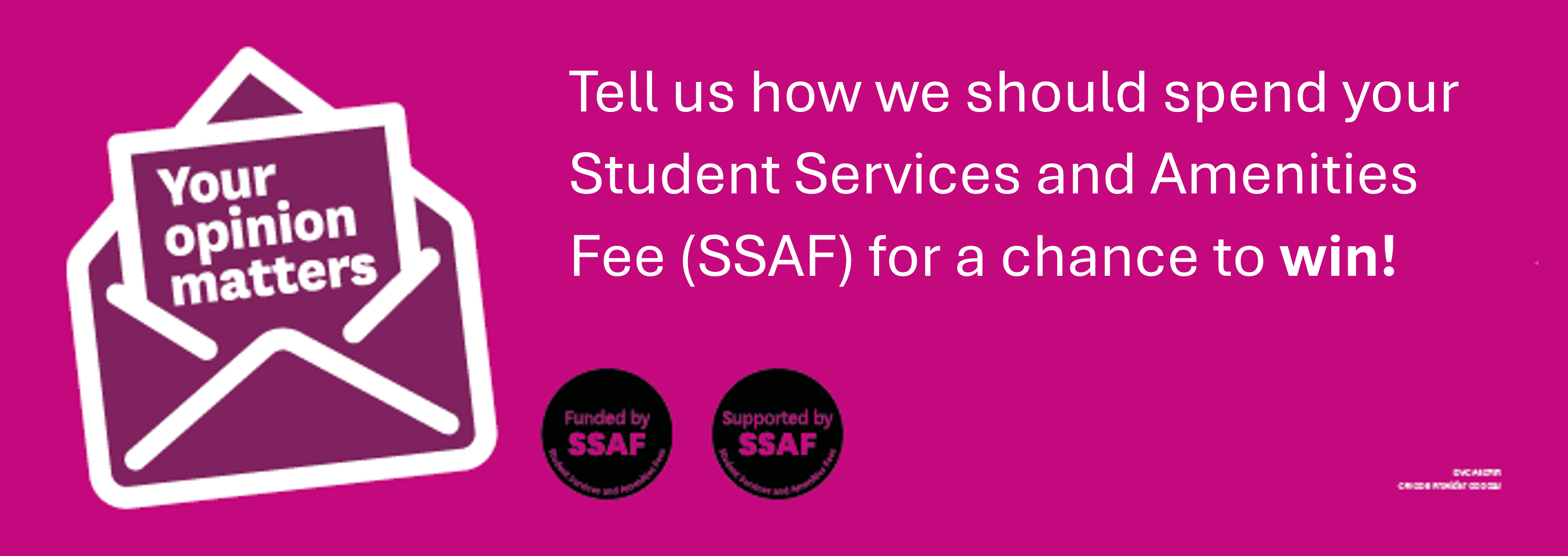 SSAF Survey