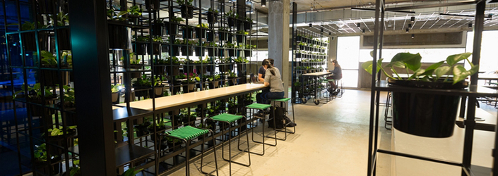 Desks among walls of plants