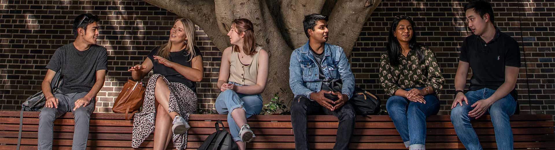 Students sitting on a bench next to a tree