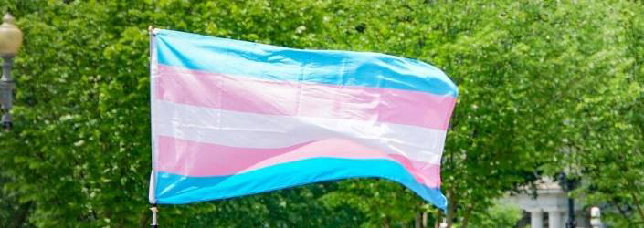 Transgenger Flag