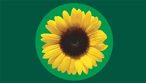 Learn about non-visible disabilities