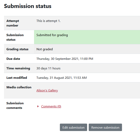 Screenshot of the submission status user interface for a submitted gallery