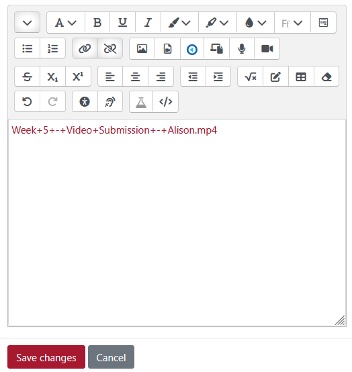 Screenshot of the activity message editor with the name of the video file and a Save changes button in red.