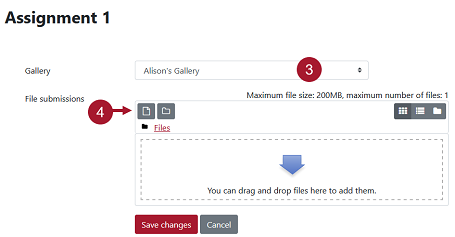 Screenshot highlighting the gallery field and the file upload button for steps 3 and 4