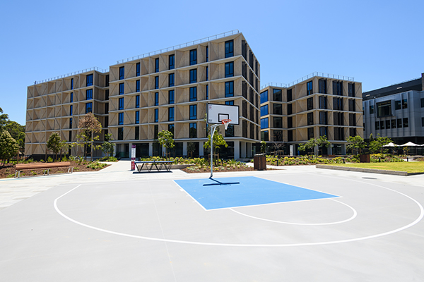 Accommodation - basketball